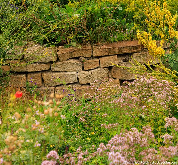 Unregelmäßige Trockenmauer im Naturgarten