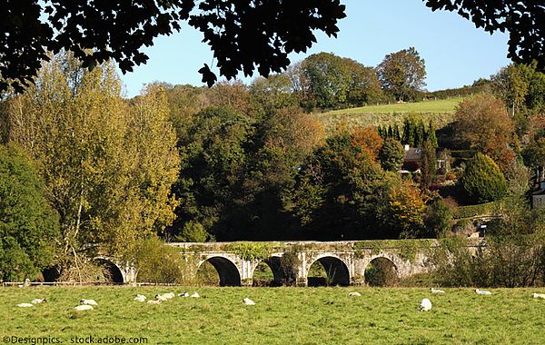 Stone Bridge über dem Fluss Nore mit Schafen in Kilkenny, Irland