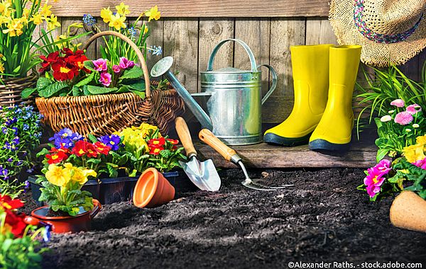 Verschiedene Frühlingspflanzen, Gartenwerkzeug und gelbe Gummistiefel