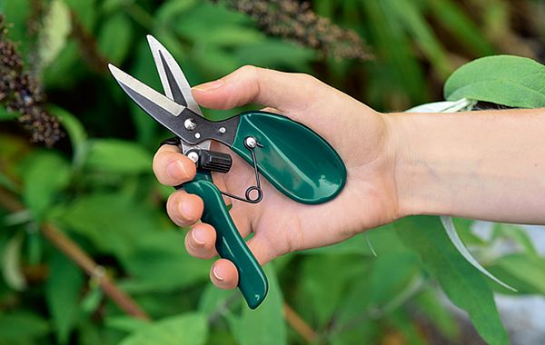 Gartenschere mit ergonomischen Griffen