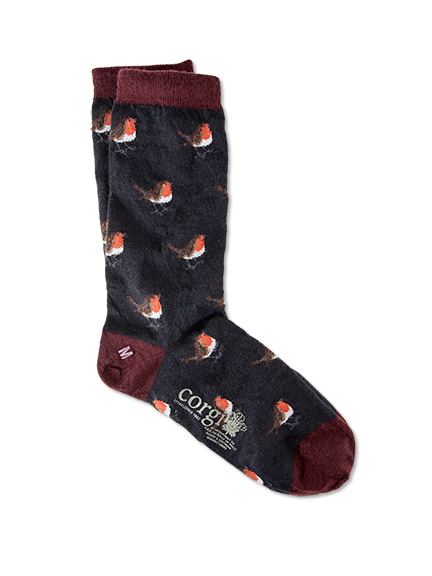 Corgi-Socken mit Rotkehlchen