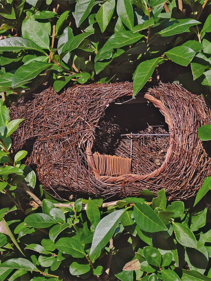 Naturschutz Vor Der Eigenen Haustur