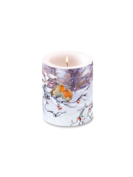 Deko-Windlichtkerze Robins