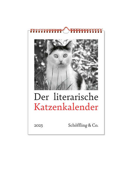 Der literarische Katzenkalender 2025