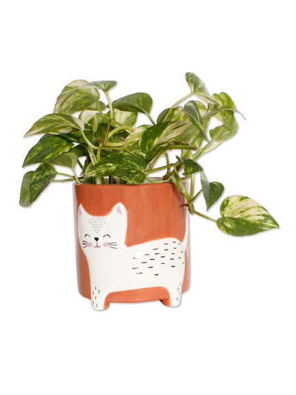 Blumentopf Katze