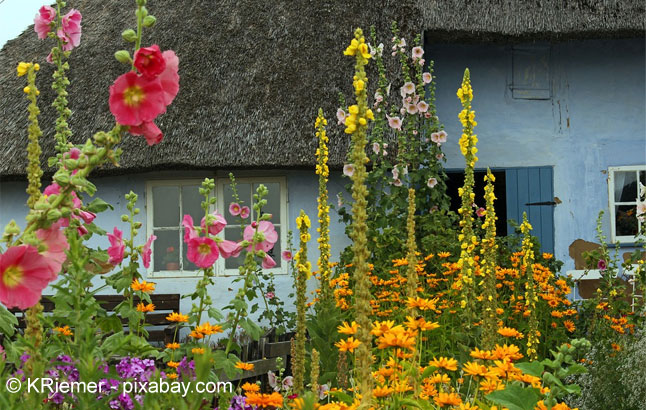 British Garden Shop Fur Englische Gartengerate The British Shop