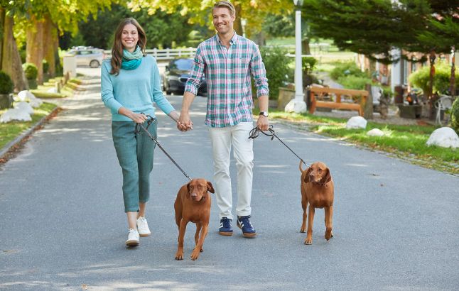 Pärchen beim Spaziergang mit den Hunden