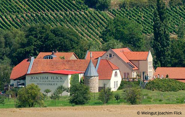 Das Weingut Flick